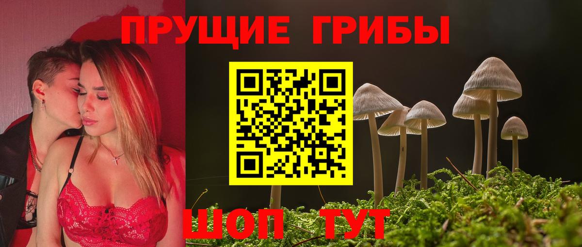 Псилоцибиновые грибы Cubensis Трёхгорный