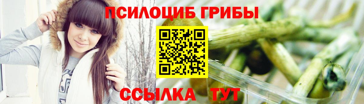 Псилоцибиновые грибы GOLDEN TEACHER  Вход с VPN  Трёхгорный 
